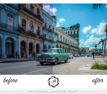 Load image into Gallery viewer, Traveler