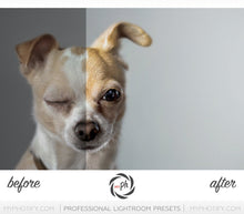 Load image into Gallery viewer, Pets – Cats & Dogs