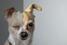 Load image into Gallery viewer, PRO 1080+ | Professional Adobe Lightroom Presets