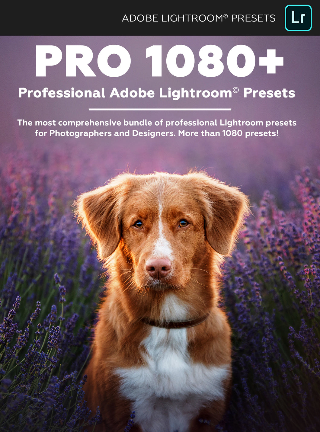PRO 1080+ | Professional Adobe Lightroom Presets
