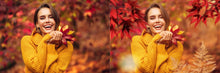 Load image into Gallery viewer, 1200+ Wonderful Autumn Overlays Bundle
