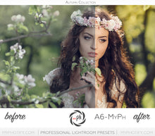 Load image into Gallery viewer, Presets Sample Pack (5 Presets from PRO 1080+ | Professional Adobe Lightroom Presets)
